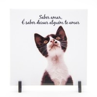 Azulejo Gato Oryba