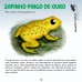 Os Sapos Incríveis do Brasil