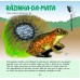Os Sapos Incríveis do Brasil