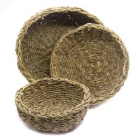 Cesta Guarani