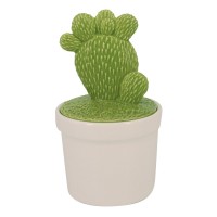 Pote Cacto Palma com Tampa Pote Cacto Palma com Tampa