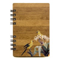 Caderno Ararajuba