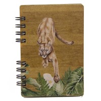 Caderno Suçuarana
