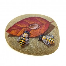 Pedra Pintada Abelha e Folha Seca