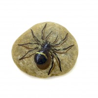 Pedra Pintada Aranha