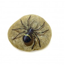 Pedra Pintada Aranha