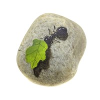 Pedra Pintada Formiga e Folha Pequena