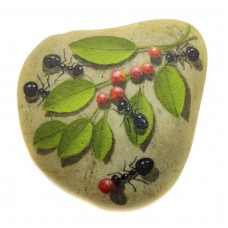 Pedra Pintada Formiga e Fruto