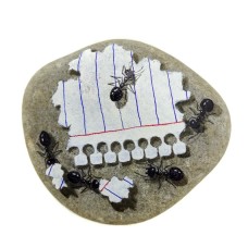 Pedra Pintada Formiga e Folha de Caderno