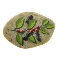 Pedra Pintada Formiga e Fruto