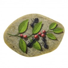 Pedra Pintada Formiga e Fruto