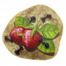 Pedra Pintada Formiga e Morango