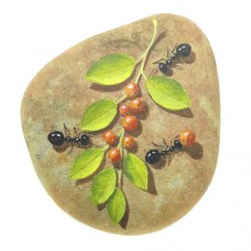 Pedra Pintada Formiga e Fruto Pedra Pintada Formiga e Fruto