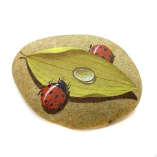 Pedra Pintada Joaninha e Folha Seca