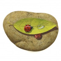 Pedra Pintada Joaninha e Folha Pedra Pintada Joaninha e Folha
