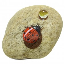 Pedra Pintada Joaninha e Gota Pedra Pintada Joaninha e Gota