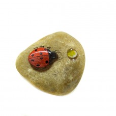 Pedra Pintada Joaninha e Gota