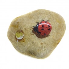 Pedra Pintada Joaninha e Gota
