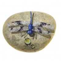 Pedra Pintada Libélula Azul