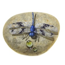 Pedra Pintada Libélula Azul