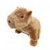 Capivara Sentada Teteca