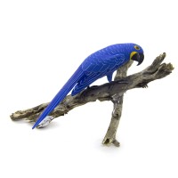 Arara Azul