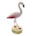 Flamingo Flamingo