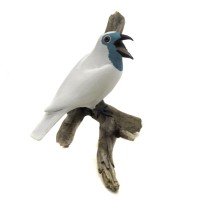 Araponga