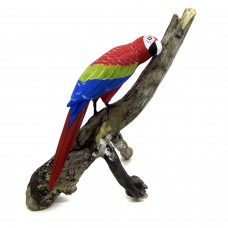Arara Vermelha Grande
