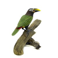 Araçari Castanho