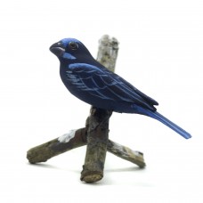 Azulão (Macho)