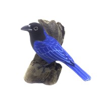 Gralha Azul