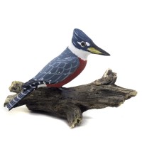 Martim Pescador