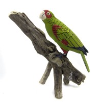Papagaio Charão