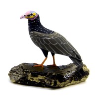 Urubu de Cabeça Amarela