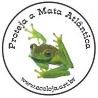 Botton Perereca (Mata Atlântica)