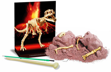 Kit Escavação Tiranossauro Rex Kit Escavação Tiranossauro Rex