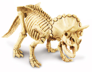 Kit Escavação Triceratops Kit Escavação Triceratops