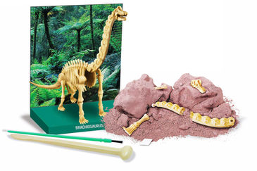 Kit Escavação Braquiossauro Kit Escavação Braquiossauro
